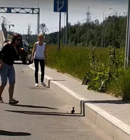 Кадр из видео в vk.com/spb_today